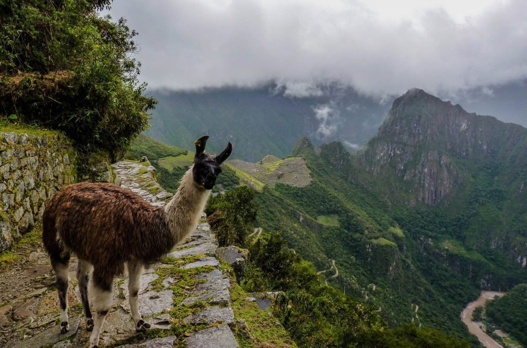 Peru Travel Guide