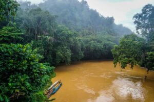River Skrang and the Batang Ai, Sarawak – Borneo