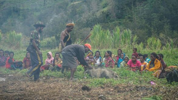 The Baliem Valley, West Papua