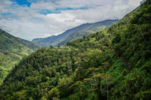 The Baliem Valley, West Papua