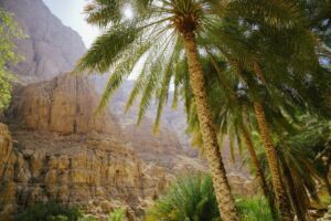 Oman Travel on a Budget Guide