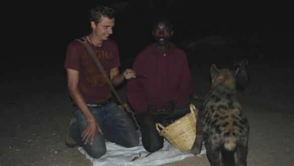 Feeding Wild Hyenas in Harar, Ethiopia