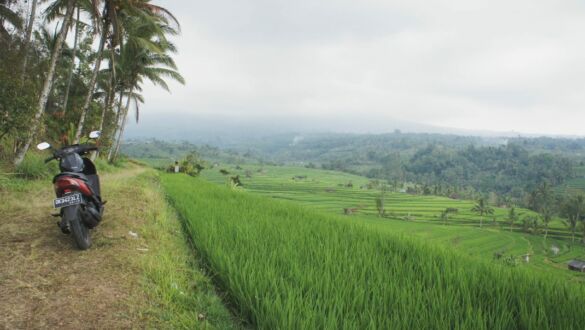 Traveling the Non-Touristy Side of Bali