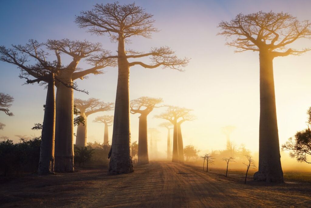 Travel Madagascar’s Wild West