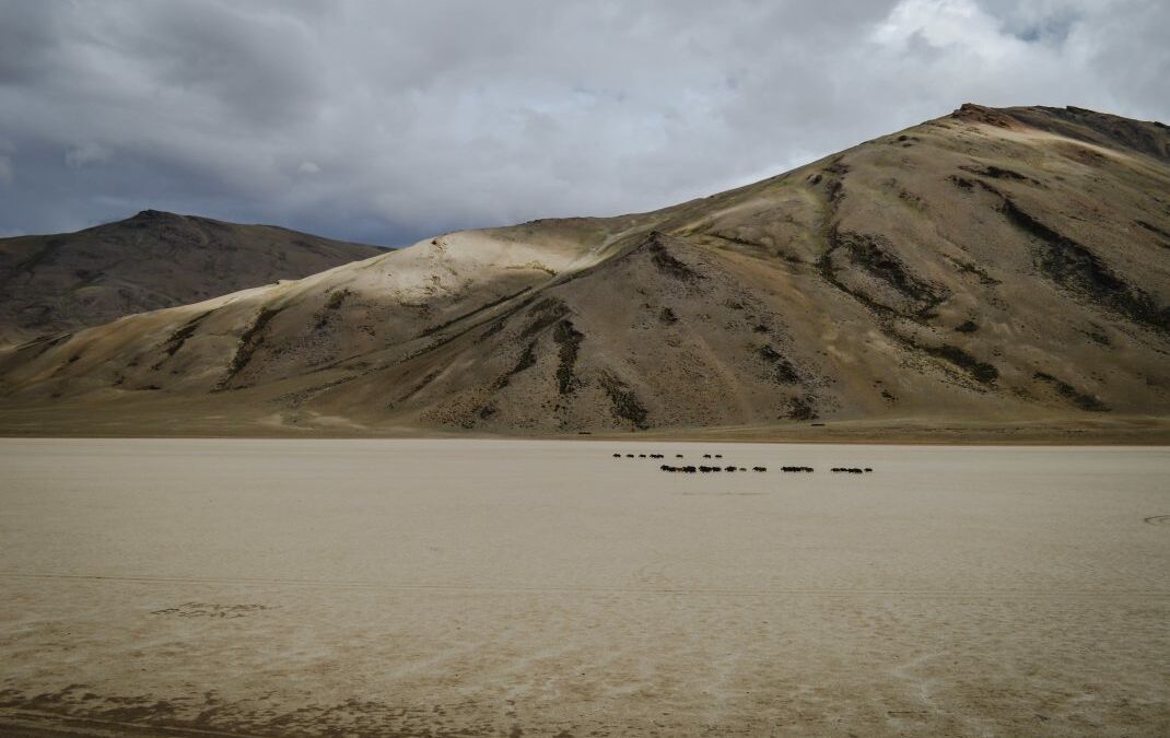 Leh Ladakh Bike Trip Blog and the World’s Highest Pass – Nubra Valley, India