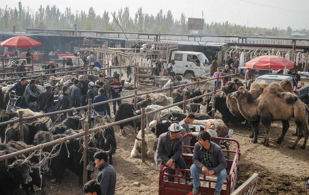 China's Western Frontier - Xinjiang Guide