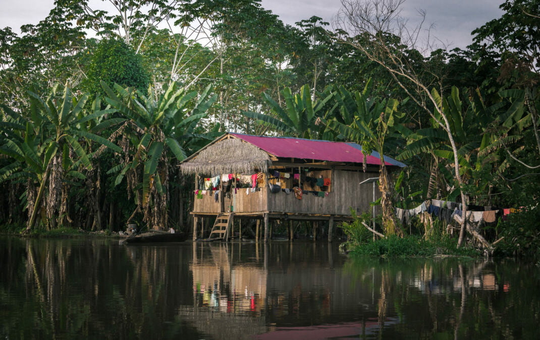 Into the Heart of the Amazon - Peru