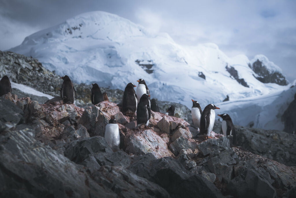 11 Reasons to Visit Antarctica Now