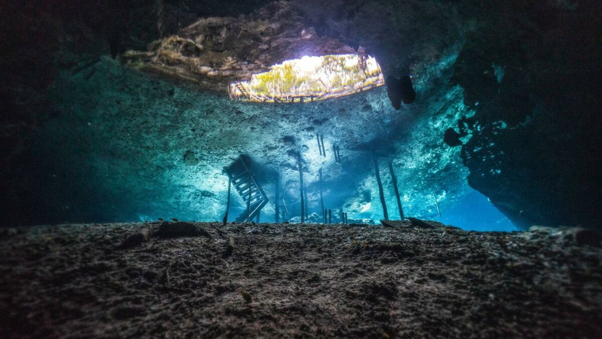 Best Places to Dive in the Mayan Riviera - Mexico Diving