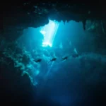 best places to dive in the mayan riviera - uncharted backpacker